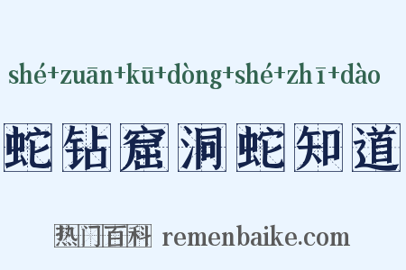 蛇钻窟洞蛇知道是什么意思的图片